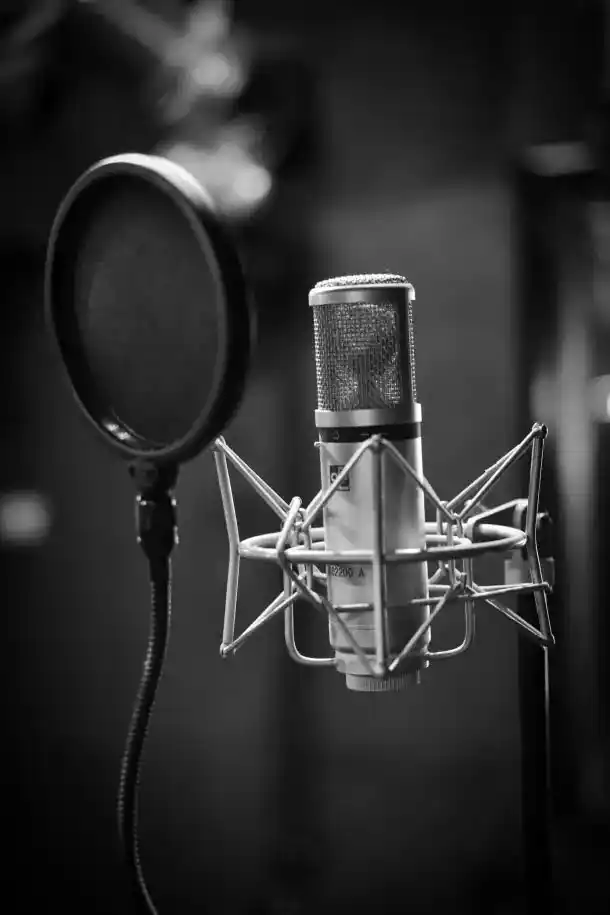 Voice and music AI workspace preview
